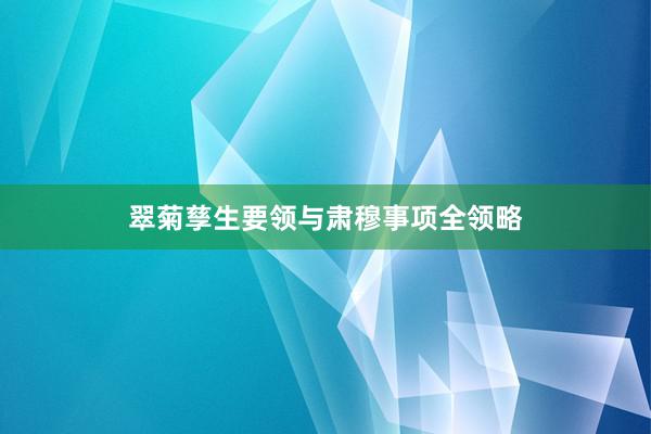翠菊孳生要领与肃穆事项全领略
