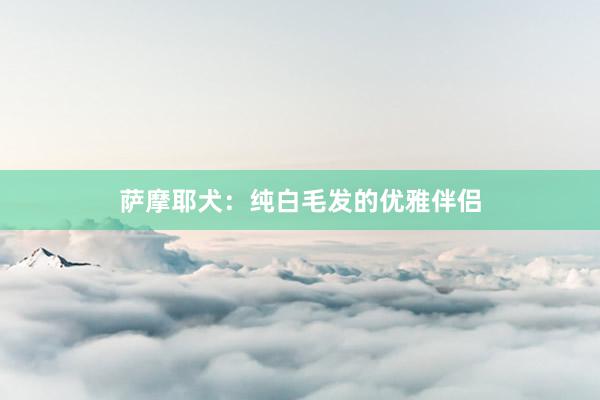 萨摩耶犬：纯白毛发的优雅伴侣