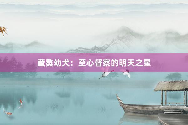 藏獒幼犬：至心督察的明天之星